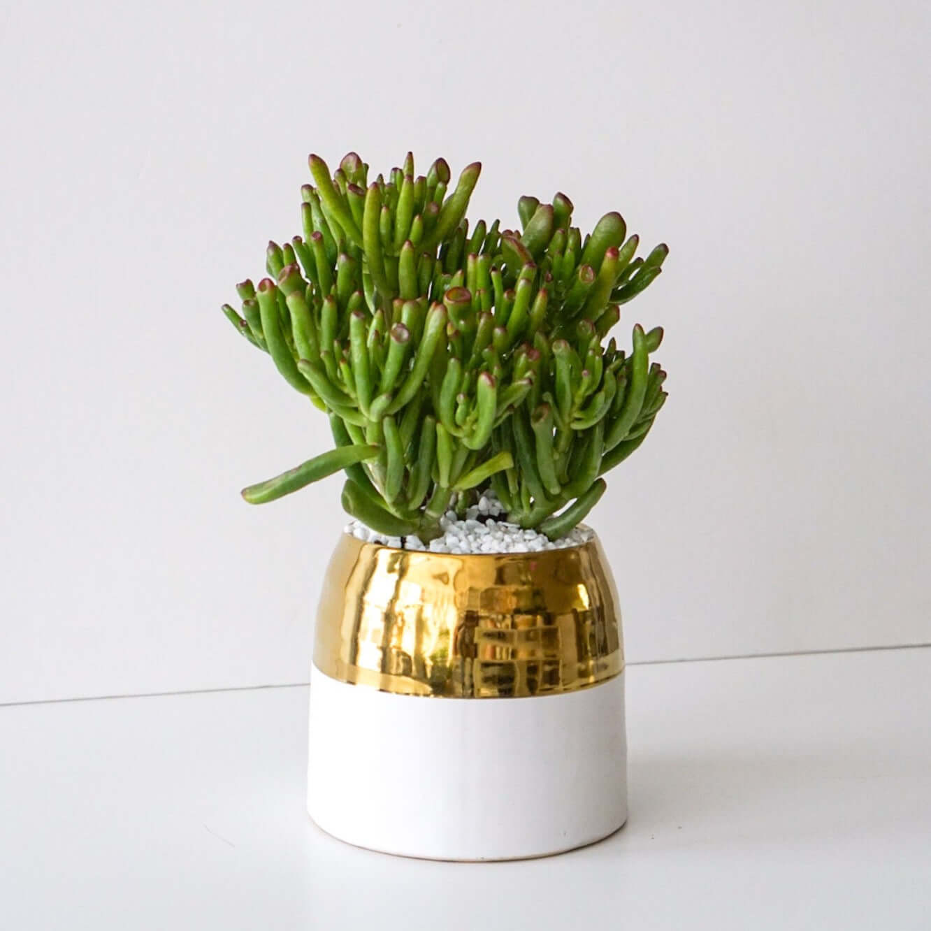 The Flower Nook a Toronto Florist using premium flowers that are professionally arranged, hand-delivered throughout Toronto and GTA