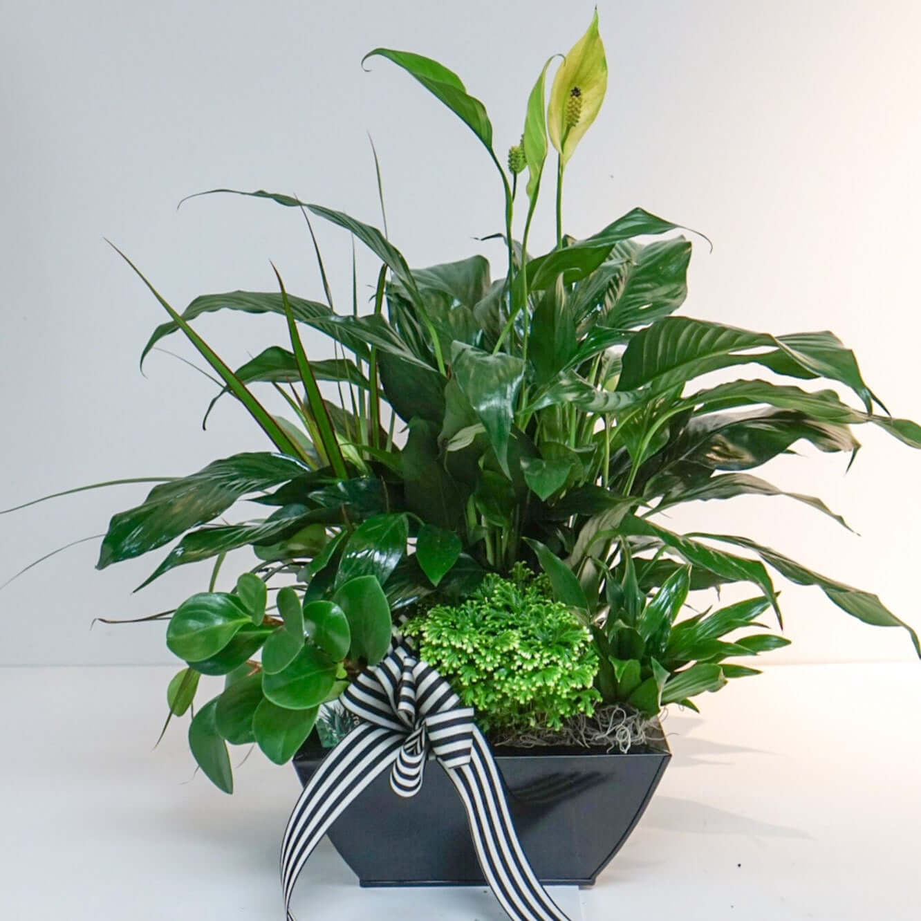 Emerald Planter