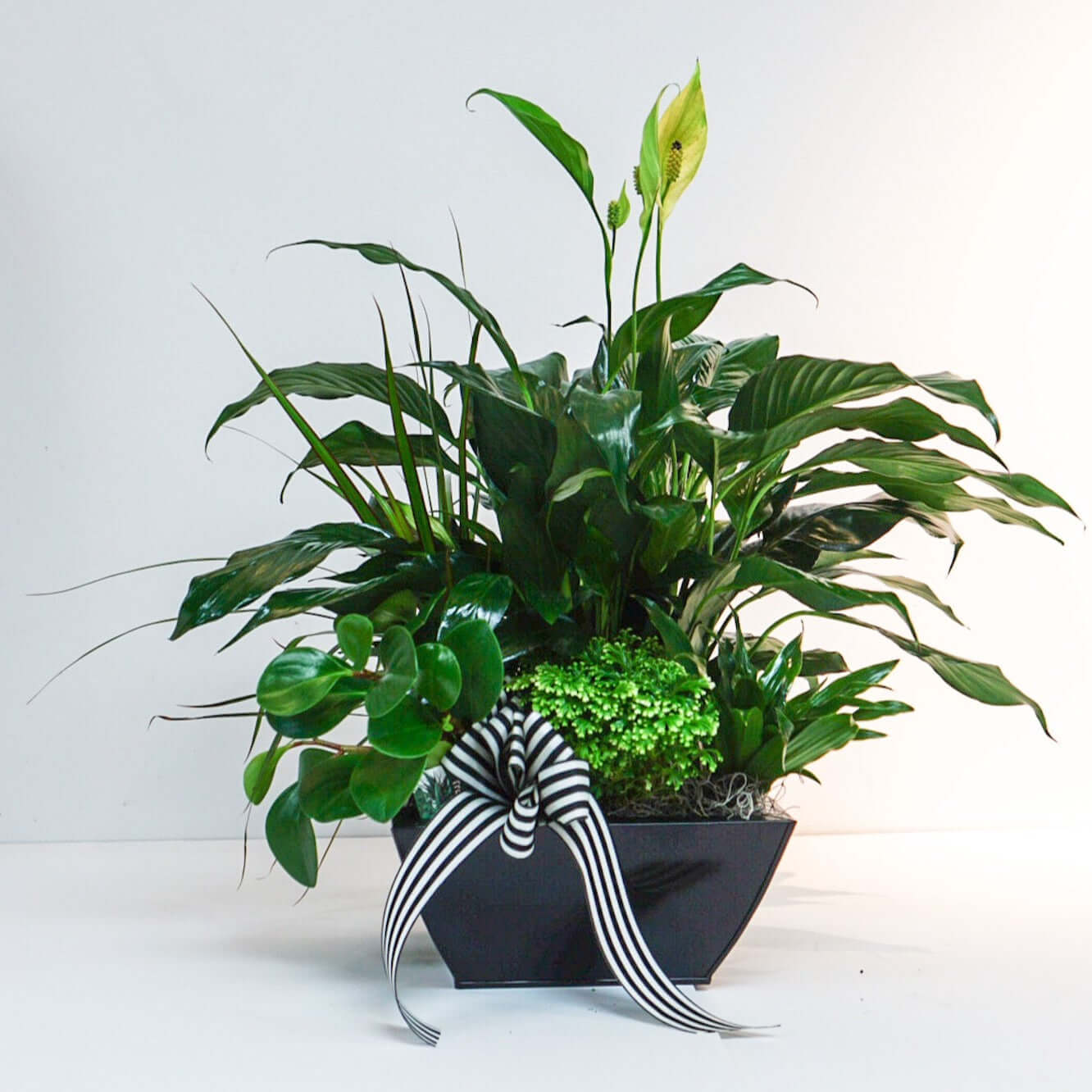 Emerald Planter