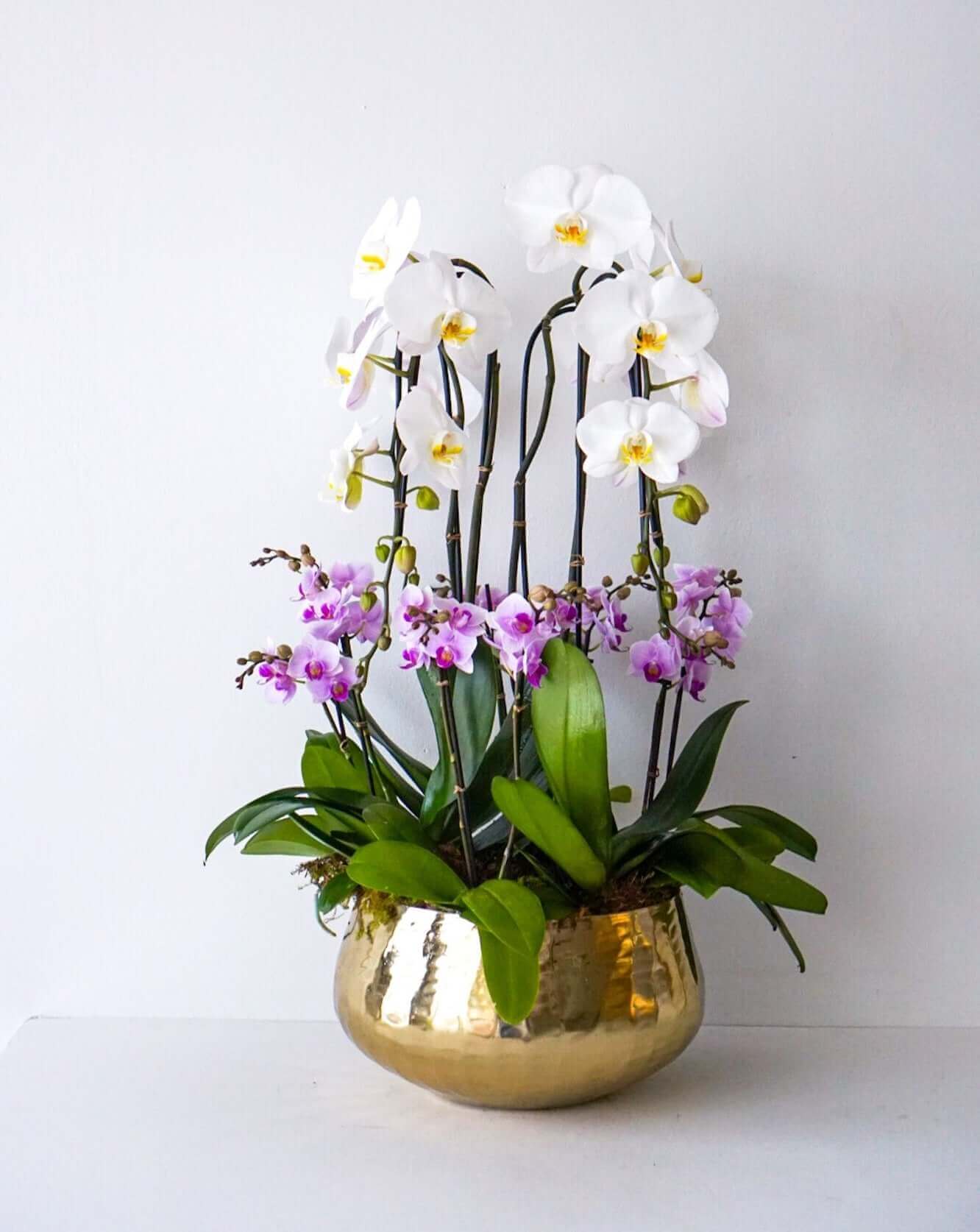 The Flower Nook a Toronto Florist using premium flowers that are professionally arranged, hand-delivered throughout Toronto and GTA