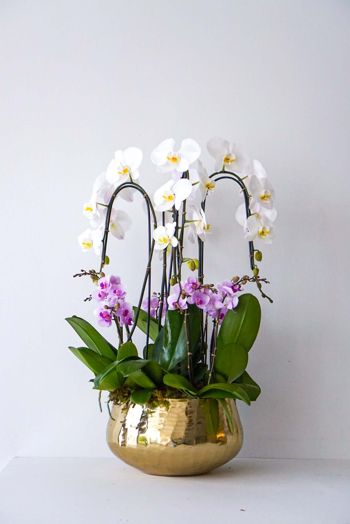 The Flower Nook a Toronto Florist using premium flowers that are professionally arranged, hand-delivered throughout Toronto and GTA