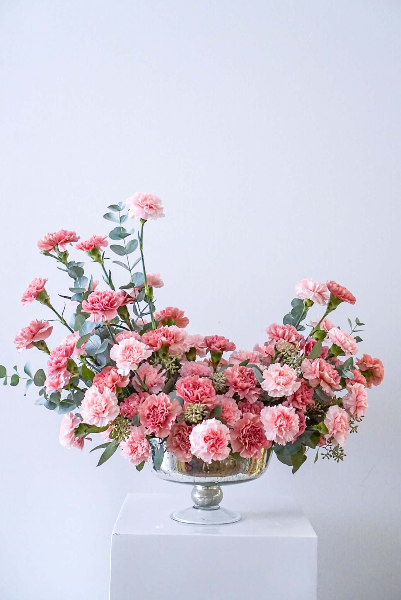 Ultimate Carnations!
