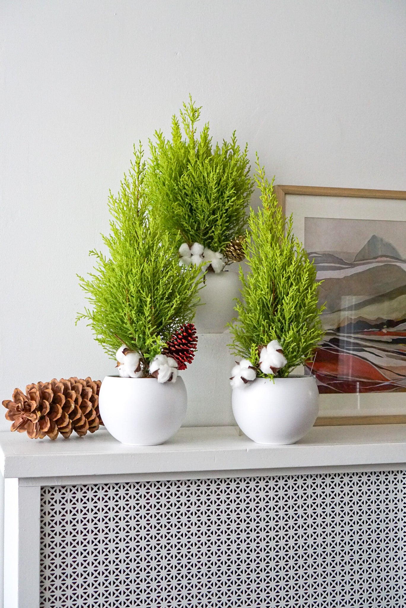 The Flower Nook a Toronto Florist using premium flowers that are professionally arranged, hand-delivered throughout Toronto and GTA