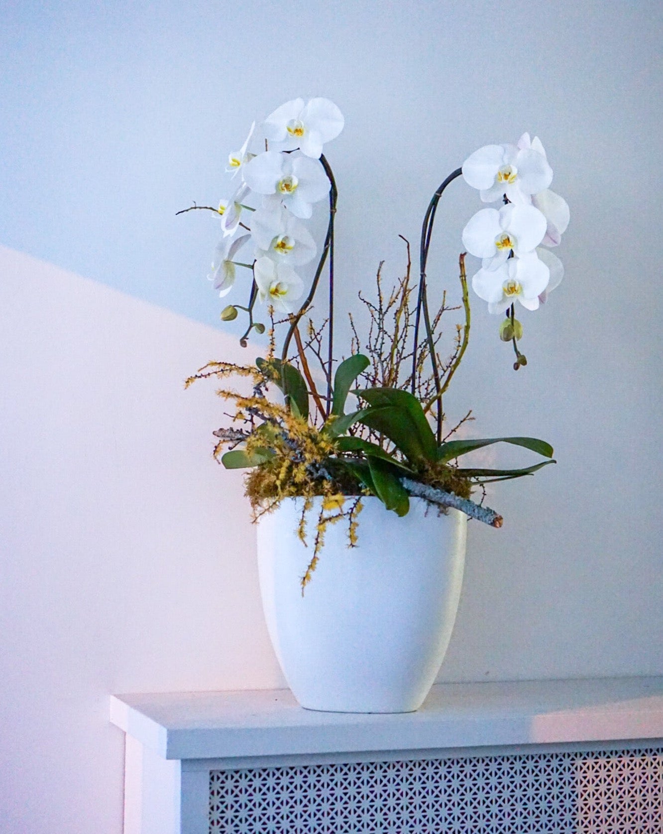 The Flower Nook a Toronto Florist using premium flowers that are professionally arranged, hand-delivered throughout Toronto and GTA