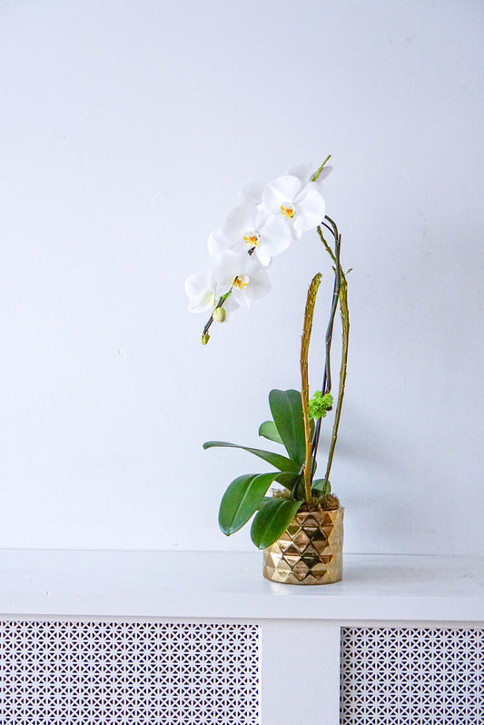 The Flower Nook a Toronto Florist using premium flowers that are professionally arranged, hand-delivered throughout Toronto and GTA