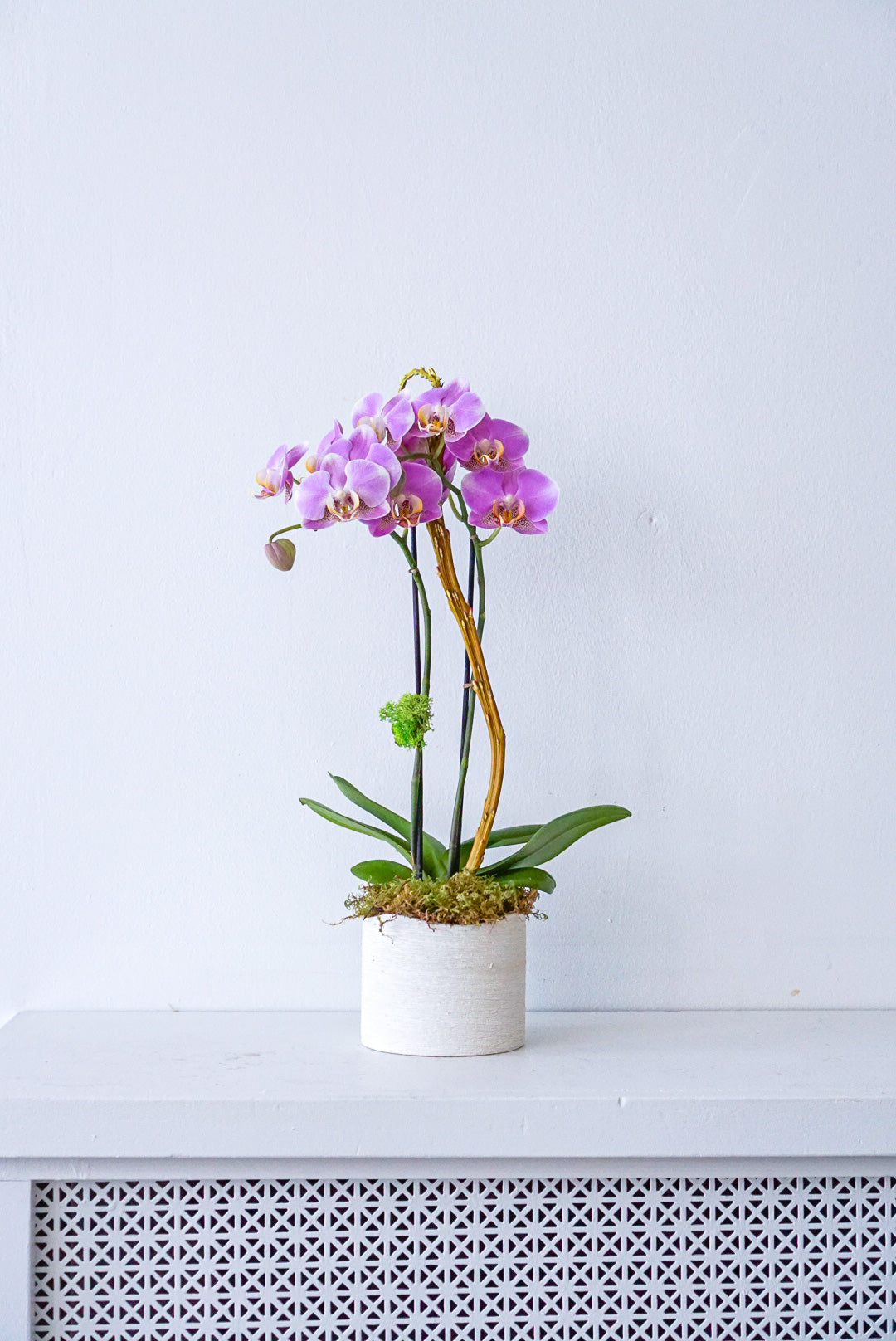 The Flower Nook a Toronto Florist using premium flowers that are professionally arranged, hand-delivered throughout Toronto and GTA