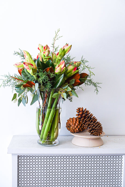 Large vase arrangement with 10 red amaryllis stems and evergreens by The Flower Nook