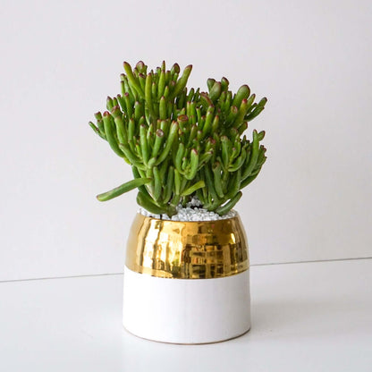 The Flower Nook a Toronto Florist using premium flowers that are professionally arranged, hand-delivered throughout Toronto and GTA