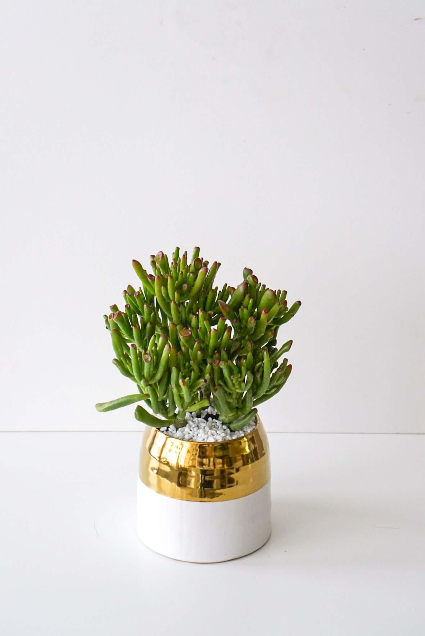 The Flower Nook a Toronto Florist using premium flowers that are professionally arranged, hand-delivered throughout Toronto and GTA