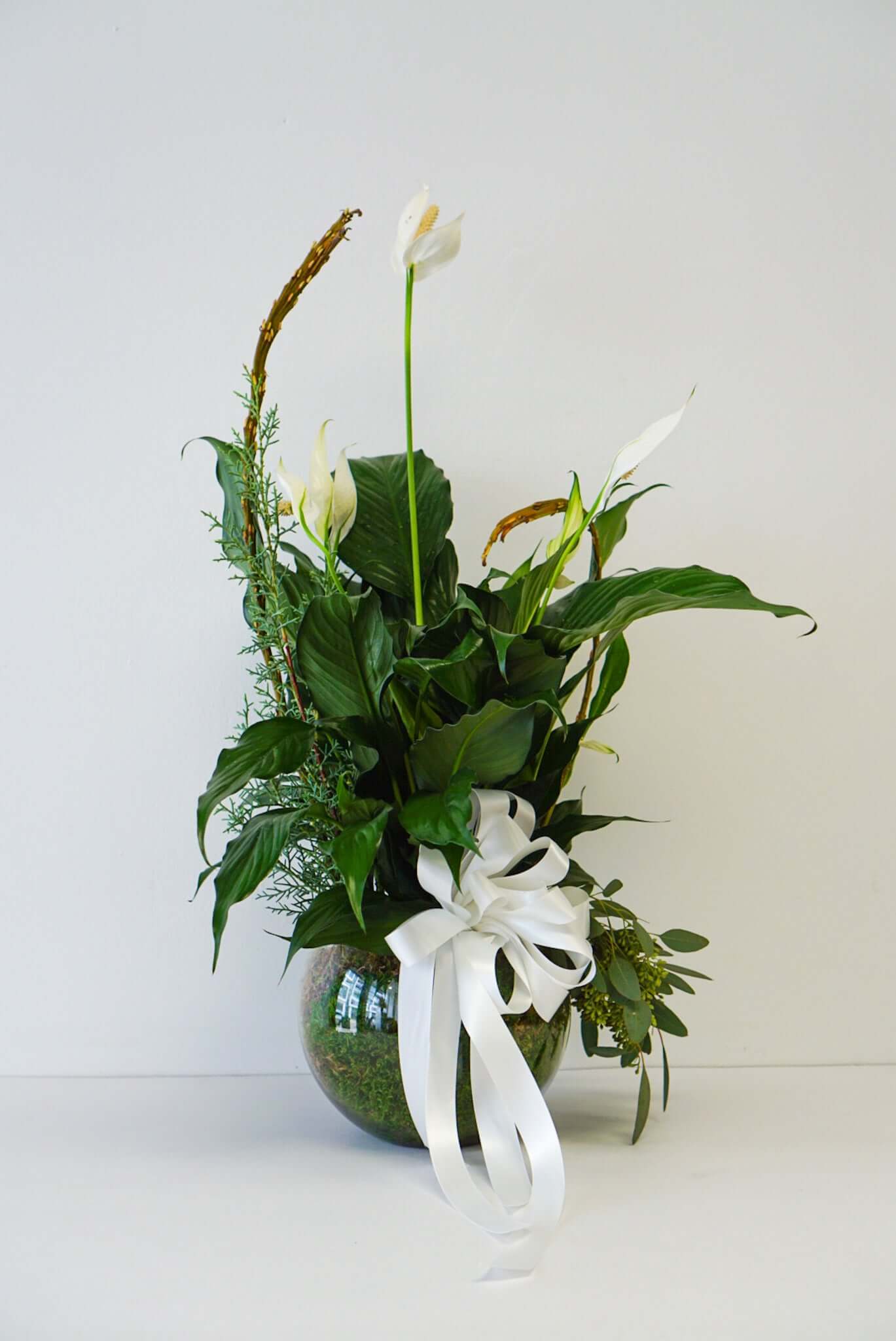 Sympathy Plant - Spathiphyllum in a bowl